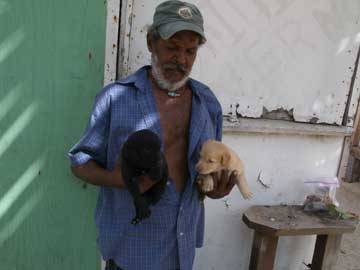 George-and-his-puppies