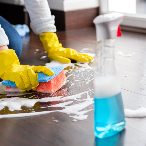 hopuse cleaning